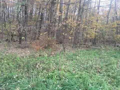 #2