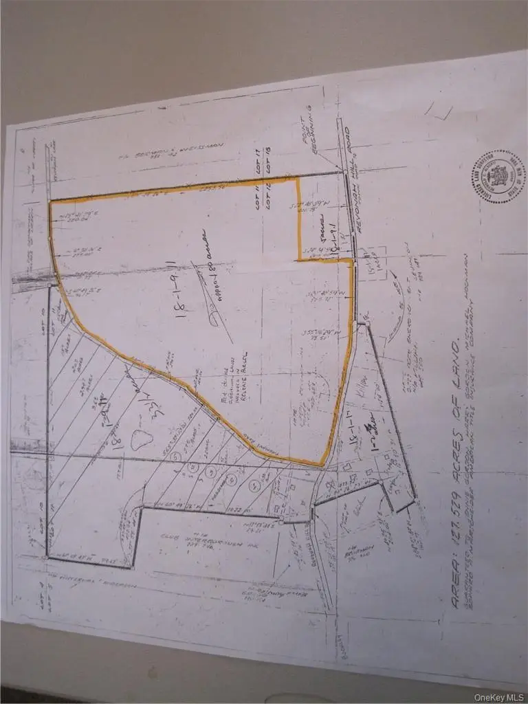 Revonah Hill Road, Liberty, NY 12754 - #1