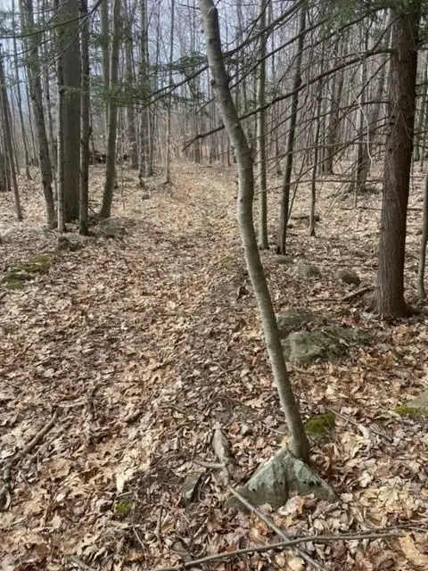 #3