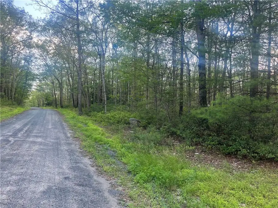 Hallenbach Road, Glen Spey, NY 12737 - Image #2