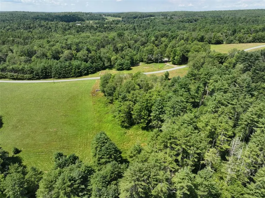 5 Pine Meadows Farm, Old County Road, Cochecton, NY 12726 - Image #3