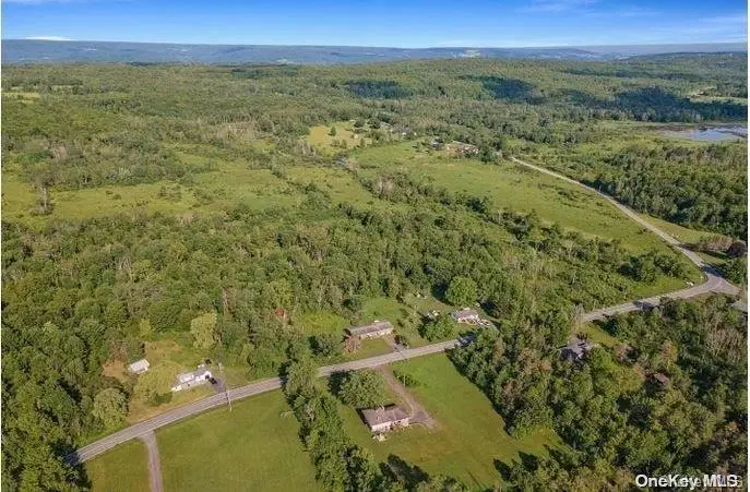 L8. 111 Churches Rd Ridges, Other, NY 12053 - #1