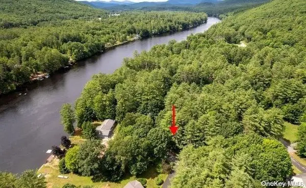 L20 White Birch Drive, Call Listing Agent, NY 12846