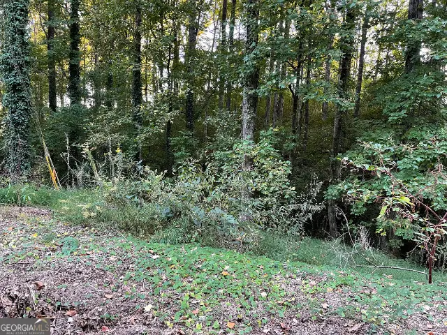 5992 Little Mountain Drive, Ellenwood, GA 30294 - Image #1