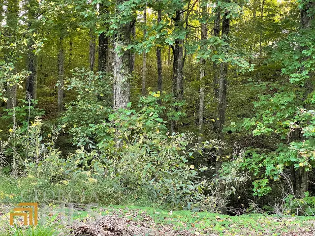 5992 Little Mountain Drive, Ellenwood, GA 30294 - Image #3