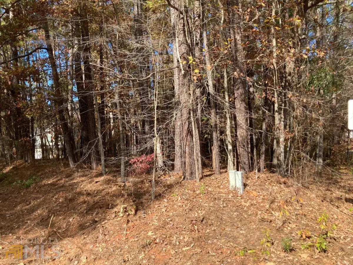 0 Egret Court, Monticello, GA 31064 - Image #1