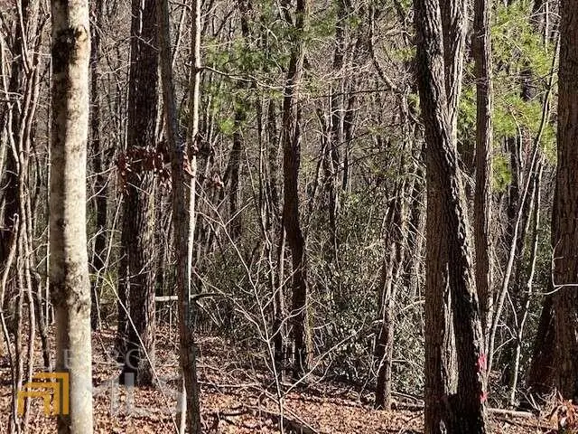 #2