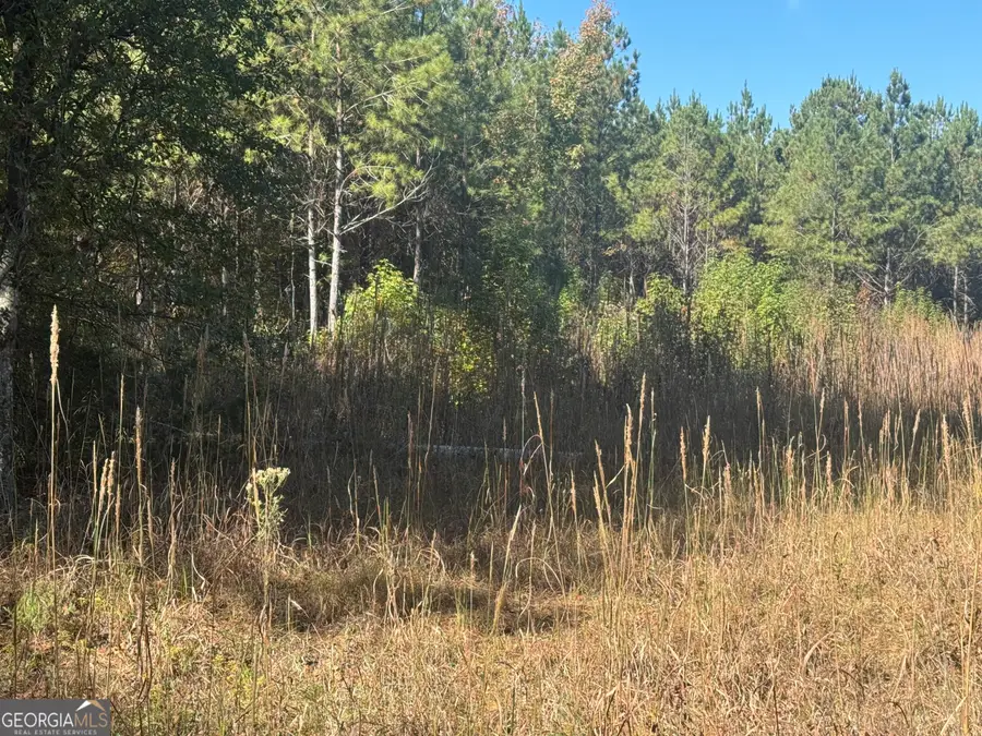 0 Perimeter Road, Monticello, GA 31064 - Image #3