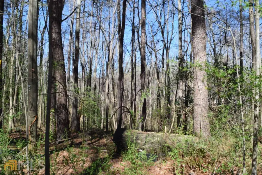 5320 Beth Drive, Austell, GA 30106 - #2