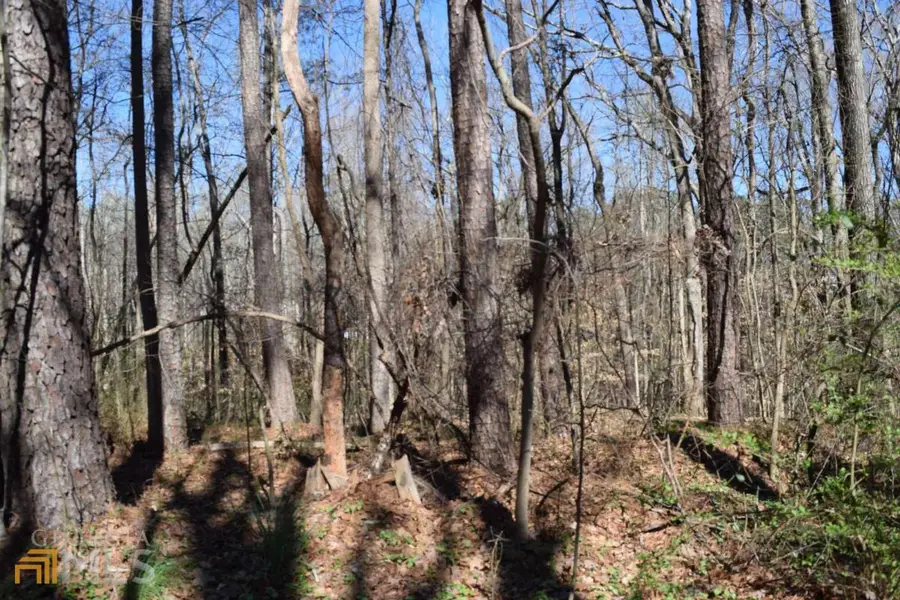 5320 Beth Drive, Austell, GA 30106 - #3