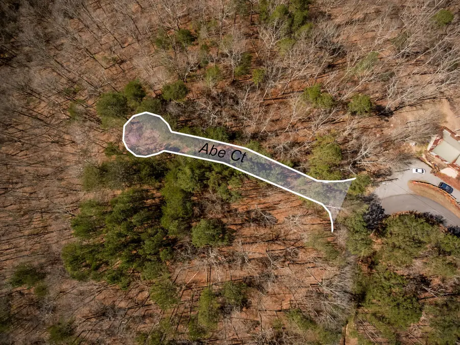 137 Abe Court, Ranger, GA 30734 - #3