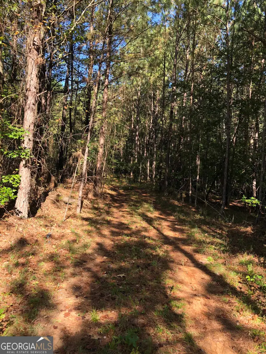 0 Mccart Road, Conyers, GA 30013 - Image #3