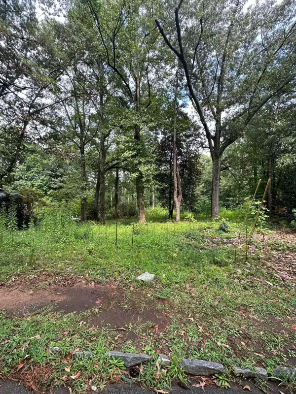 55 Linkwood Road Nw, Atlanta, GA 30311