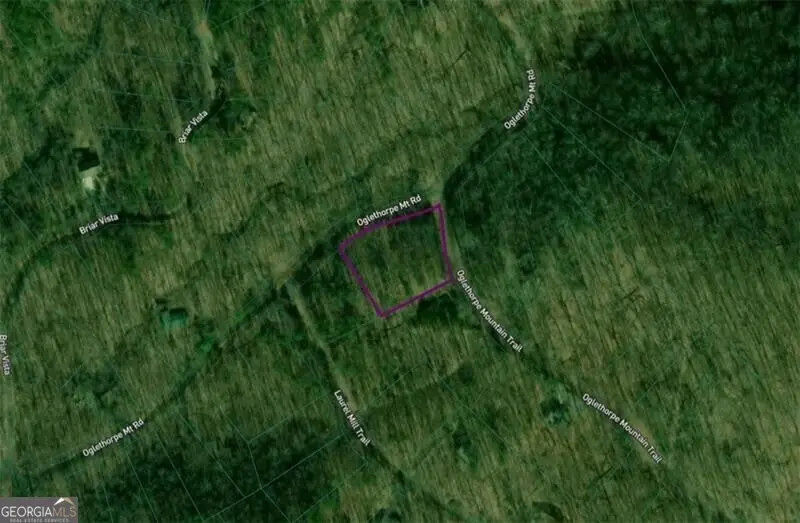 0 Oglethorpe Mountain Road, Jasper, GA 30143 - Image #1