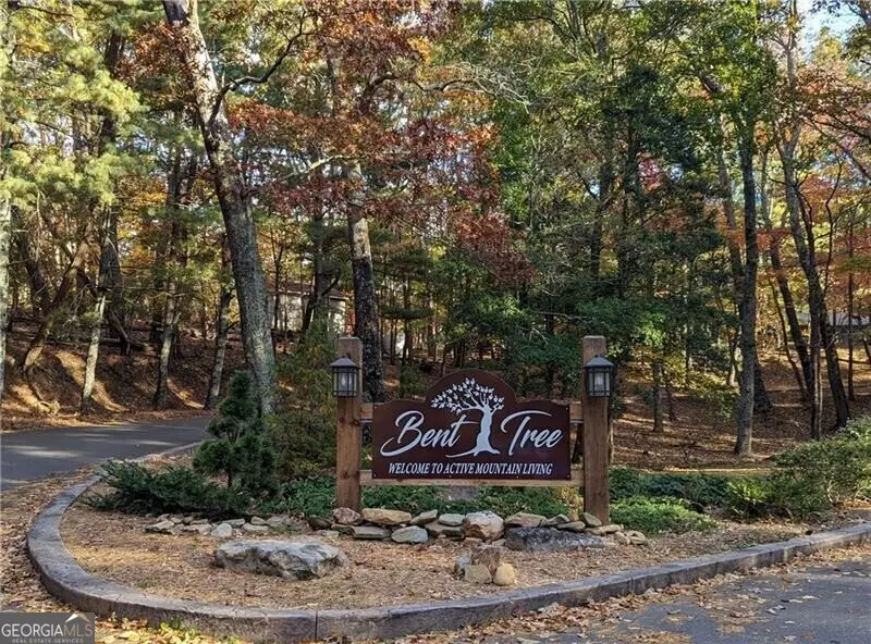 0 Oglethorpe Mountain Road, Jasper, GA 30143 - Image #2