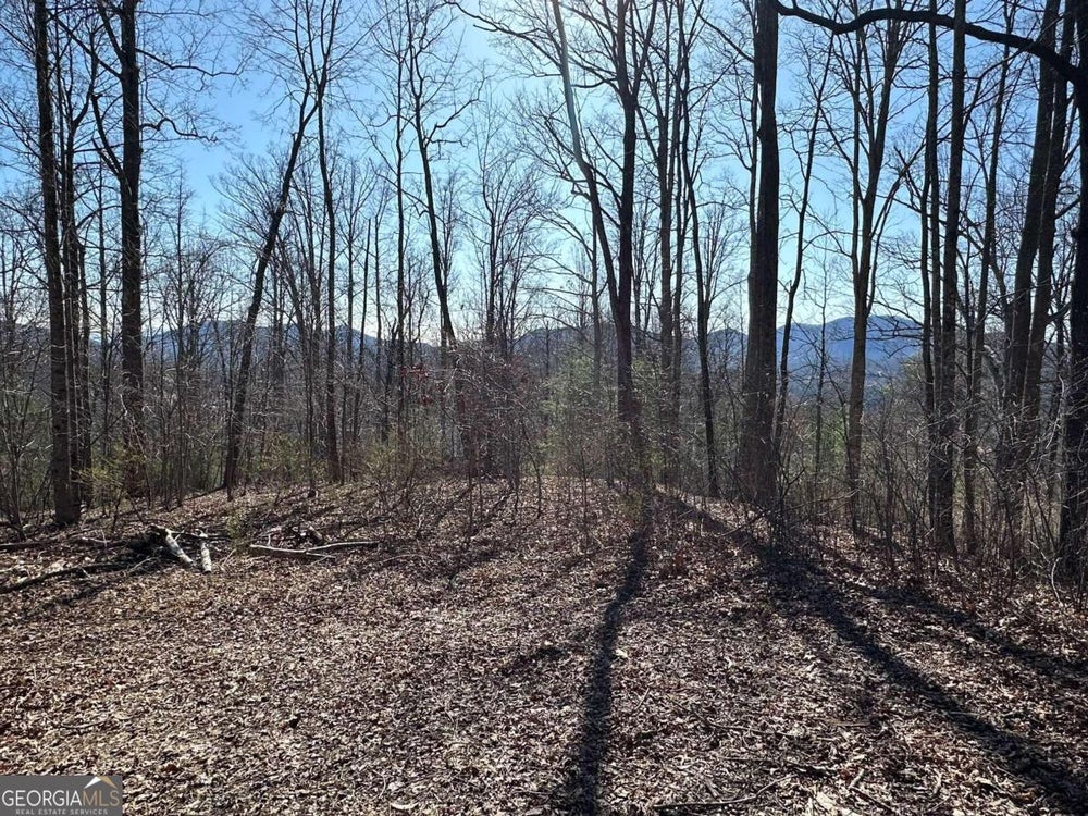 LOT 80 Asheland Cove Drive, Young Harris, GA 30582 BHGRE