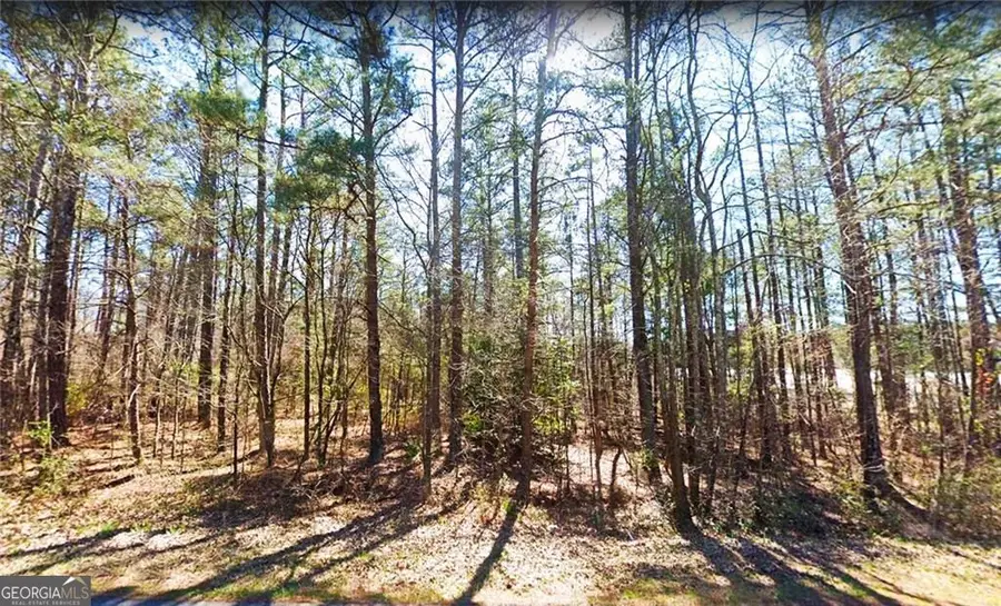 7606 Nebo Road, Hiram, GA 30141 - Image #2