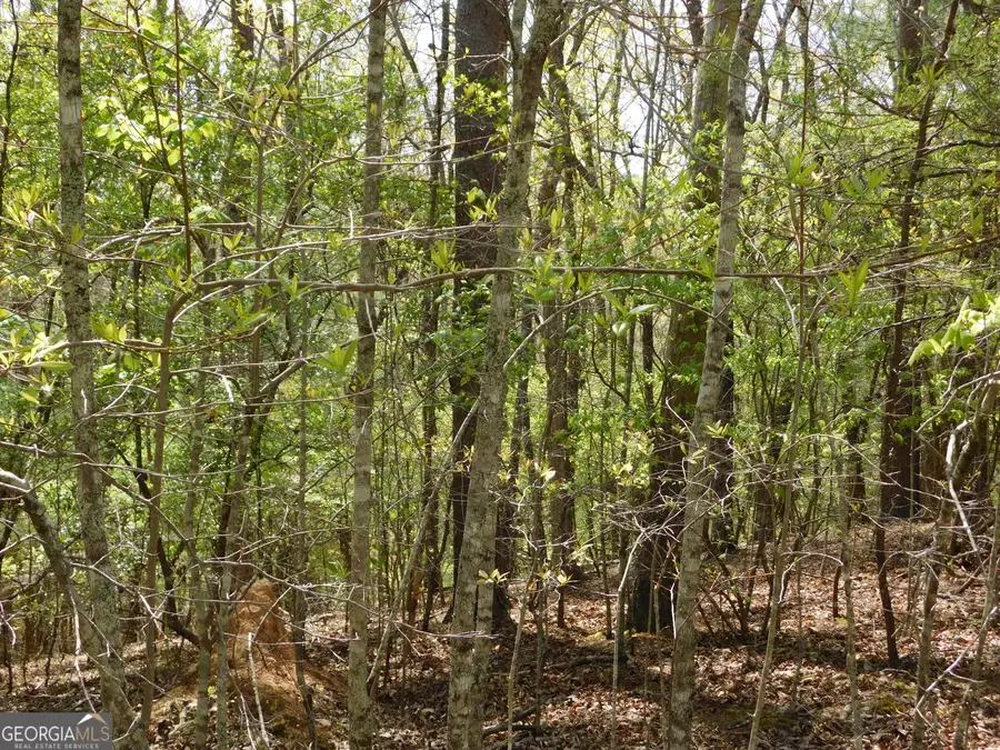 0 Dallas Lane, Blue Ridge, GA 30513 - Image #3