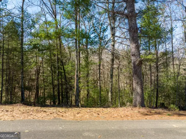 LOT 164 Shenendoa Drive, Ellijay, GA 30540
