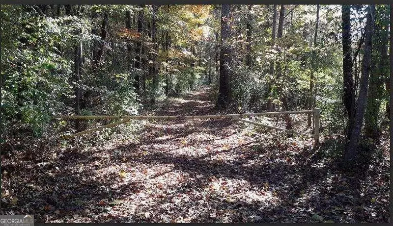 1047 Ponder Trammell Road, Juliette, GA 31046 - Image #2