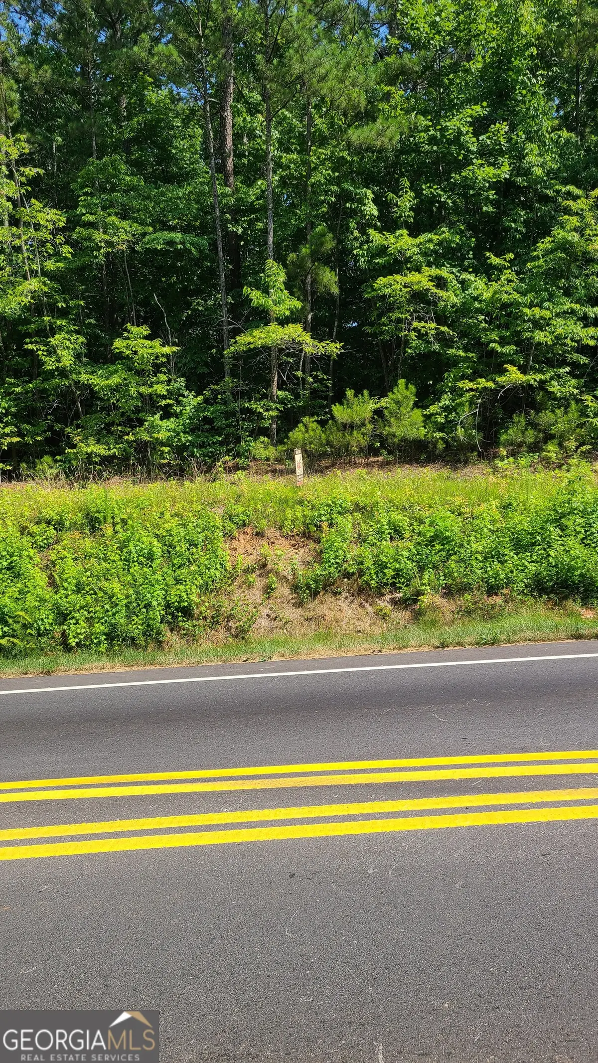 0 Stewart Mill Road, Douglasville, GA 30135 - Image #1