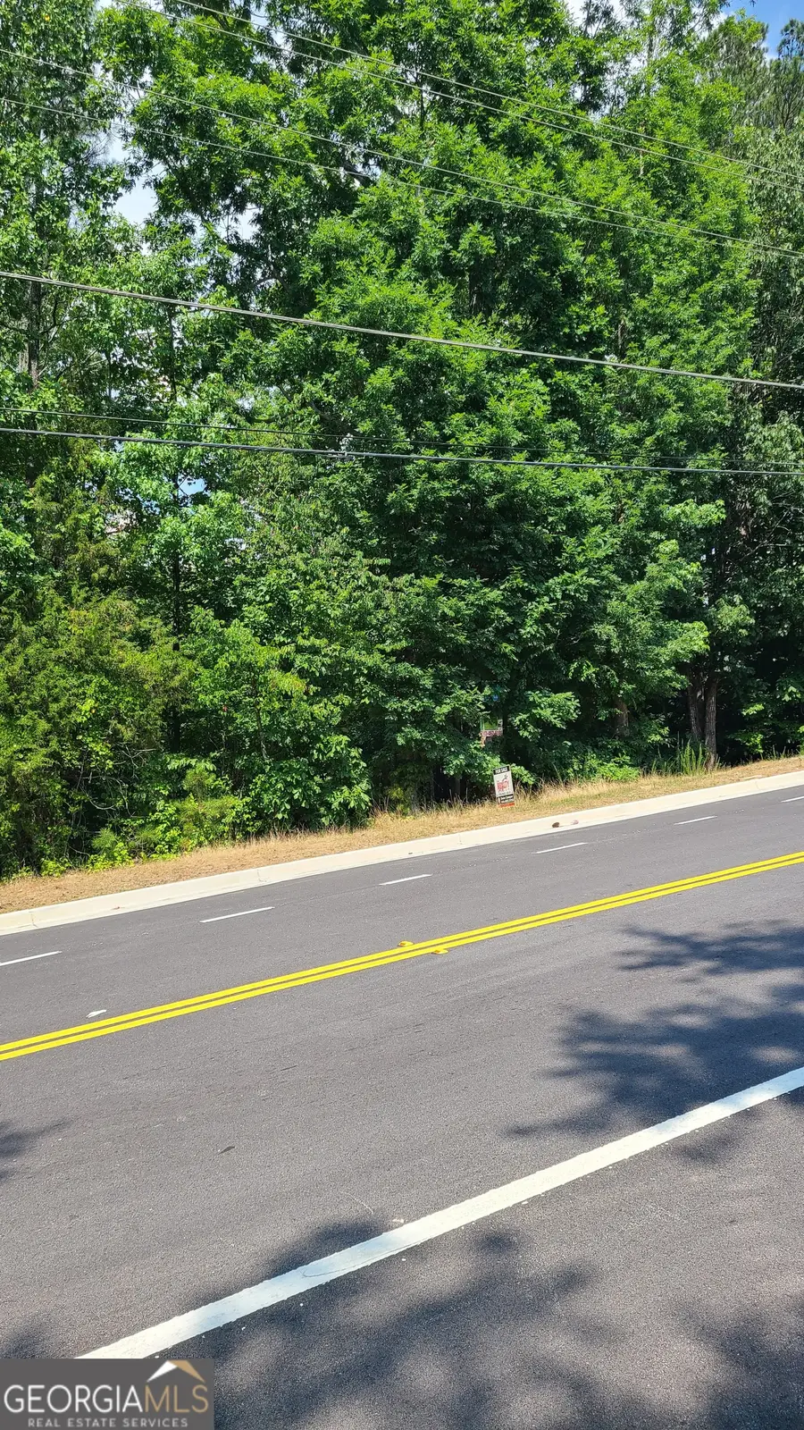 0 Stewart Mill Road, Douglasville, GA 30135 - Image #2