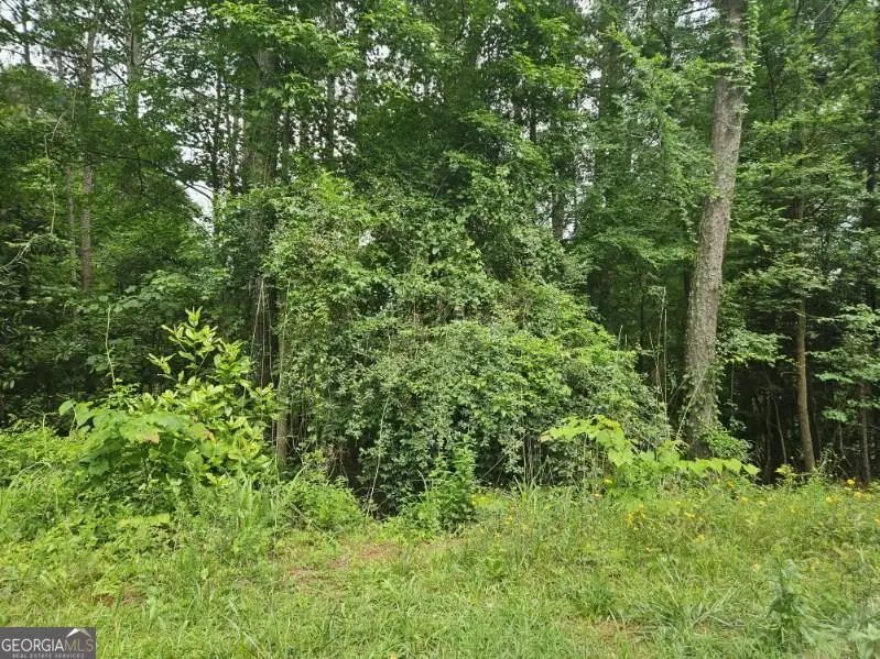 2435 Hi Roc Circle Ne, Conyers, GA 30012 - Image #3