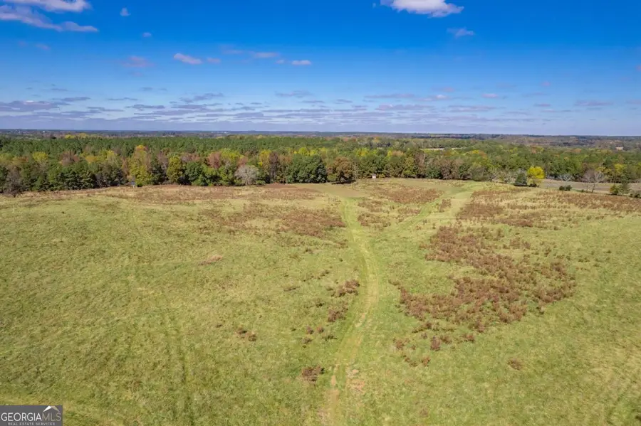 LOT 13 Wallace Road, Madison, GA 30650 - Image #2