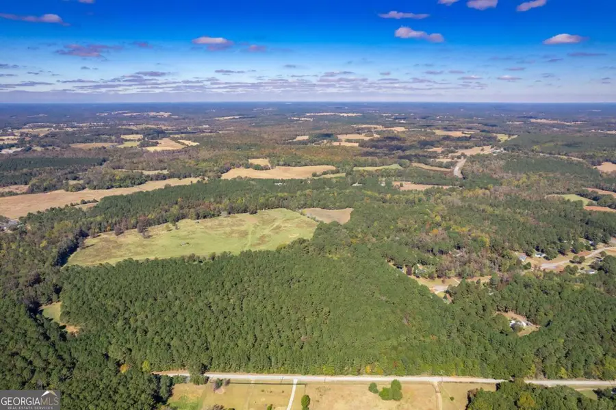 LOT 8 Wallace Road, Madison, GA 30650 - Image #3