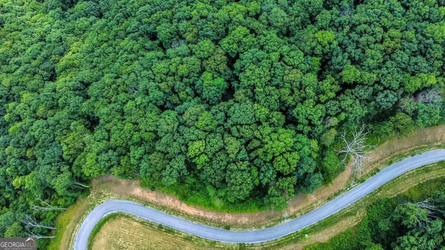 LOT 56 High Summit Drive, Talking Rock, GA 30175 - Image #3