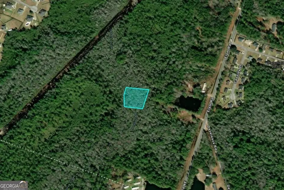 1.17 ACRES Elam Road, Hinesville, GA 31313 - #1