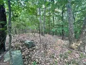 860 Cloudland Trace, Chickamauga, GA 30707