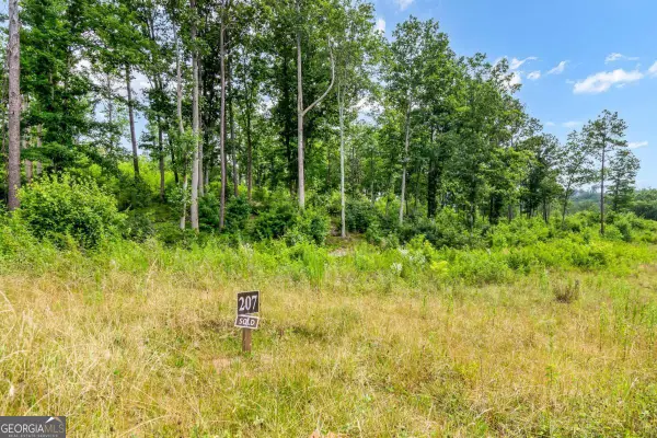LOT 207 Oak Park Drive, Talking Rock, GA 30175