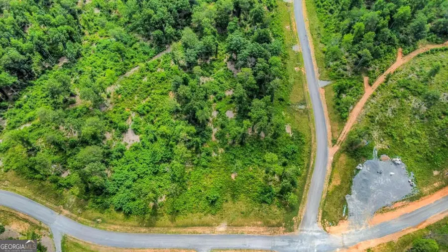 LOT 207 Oak Park Drive, Talking Rock, GA 30175 - Image #3