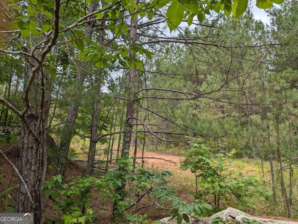 7900 Downs Road, Winston, GA 30187 - Image #1