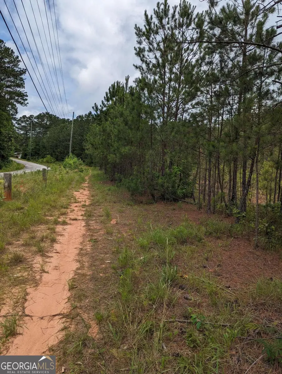 7900 Downs Road, Winston, GA 30187 - Image #3