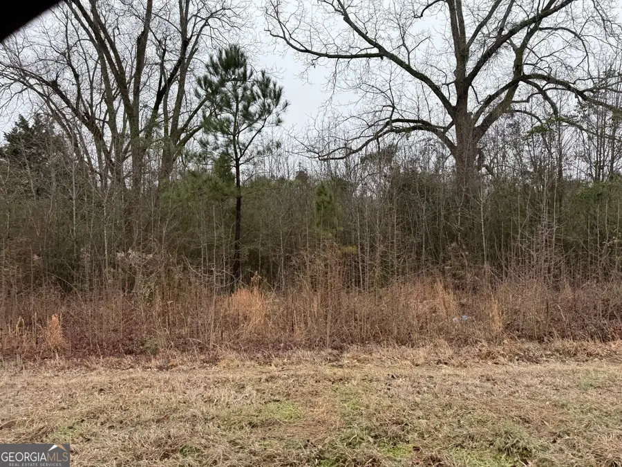 2222 Whitesville Road, Lagrange, GA 30240 - #3