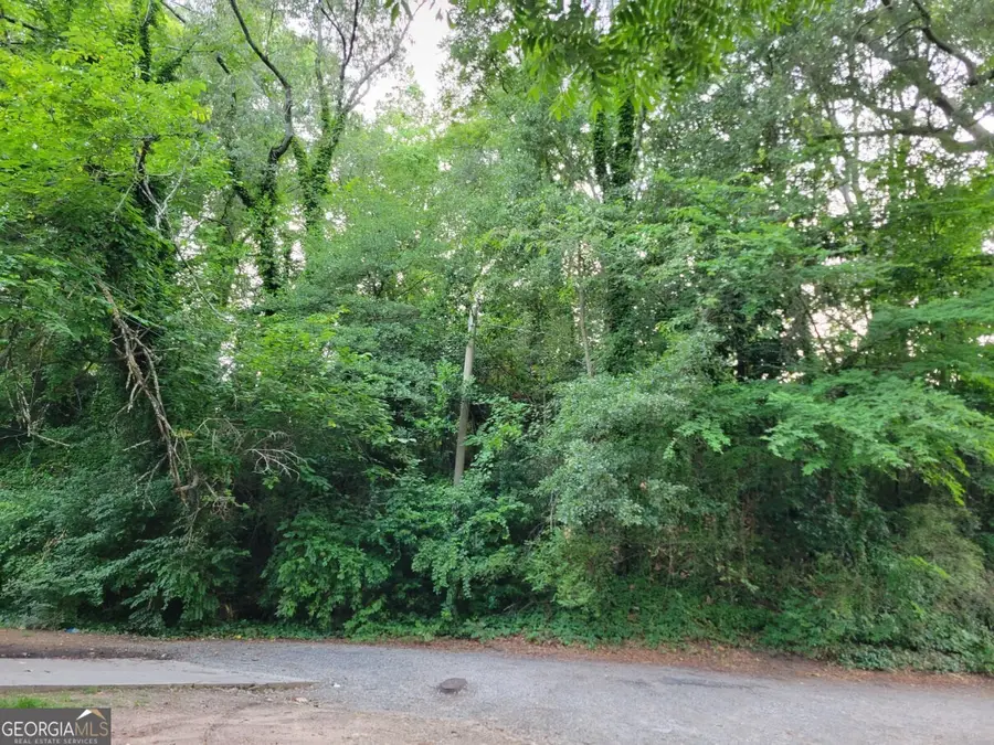 1019 Hubbard Street Sw, Atlanta, GA 30310 - Image #3