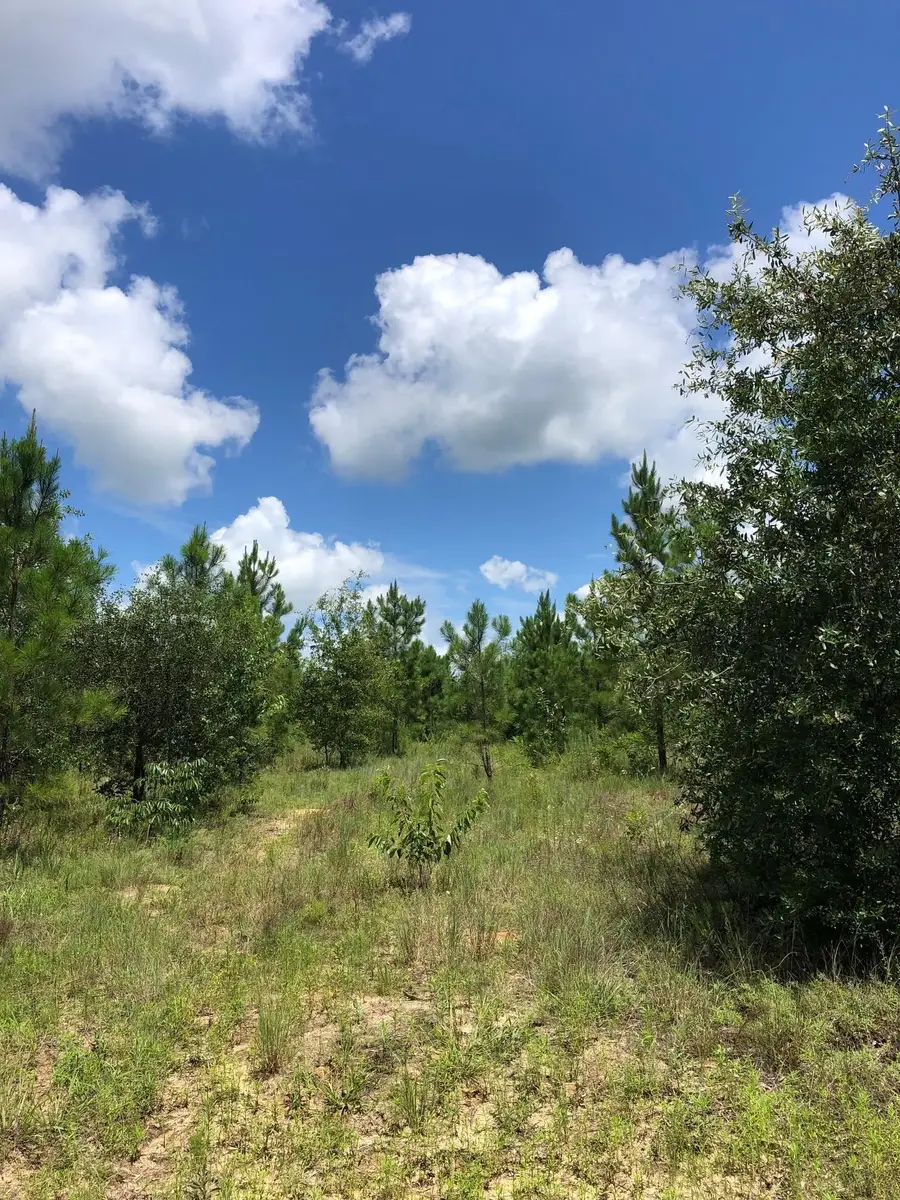 0 Buckeye Road, East Dublin, GA 31027 - Image #2