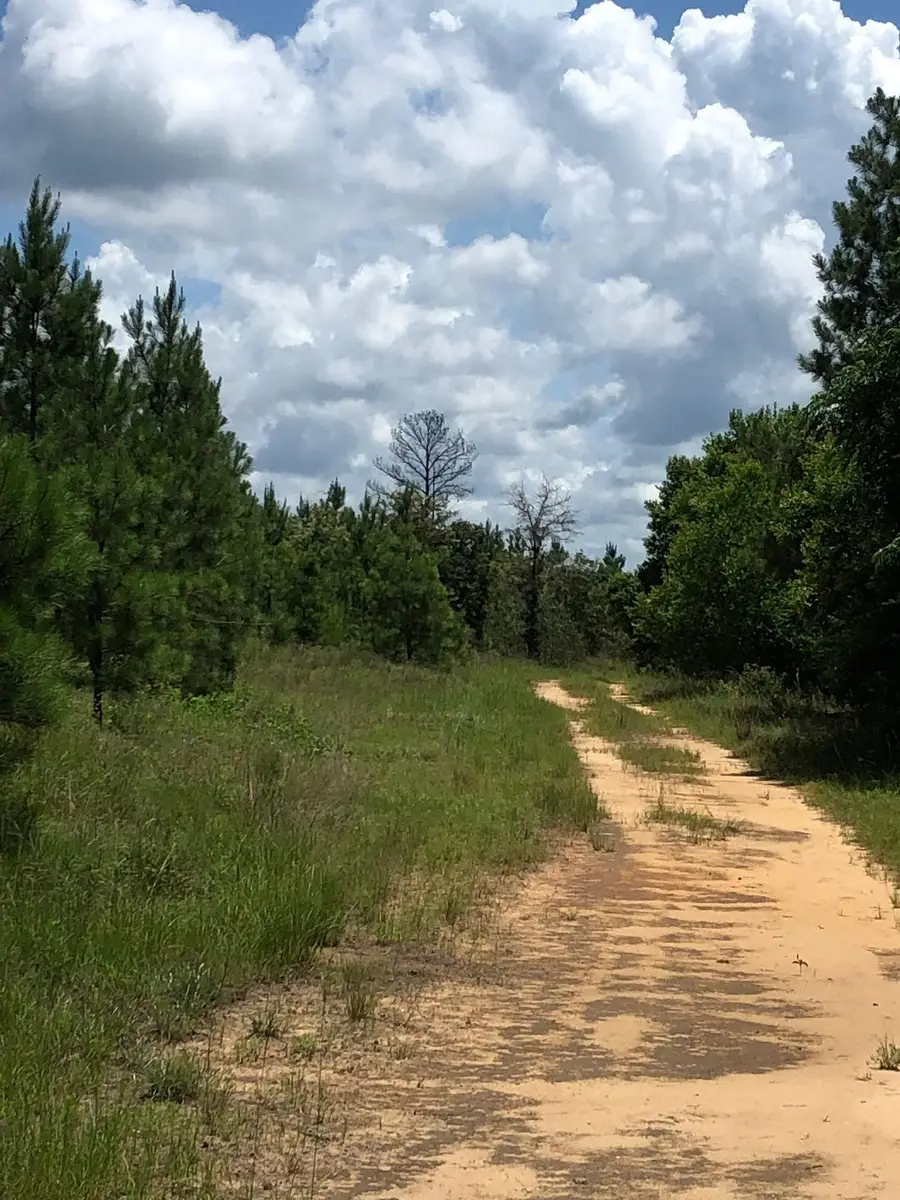 0 Buckeye Road, East Dublin, GA 31027 - Image #3