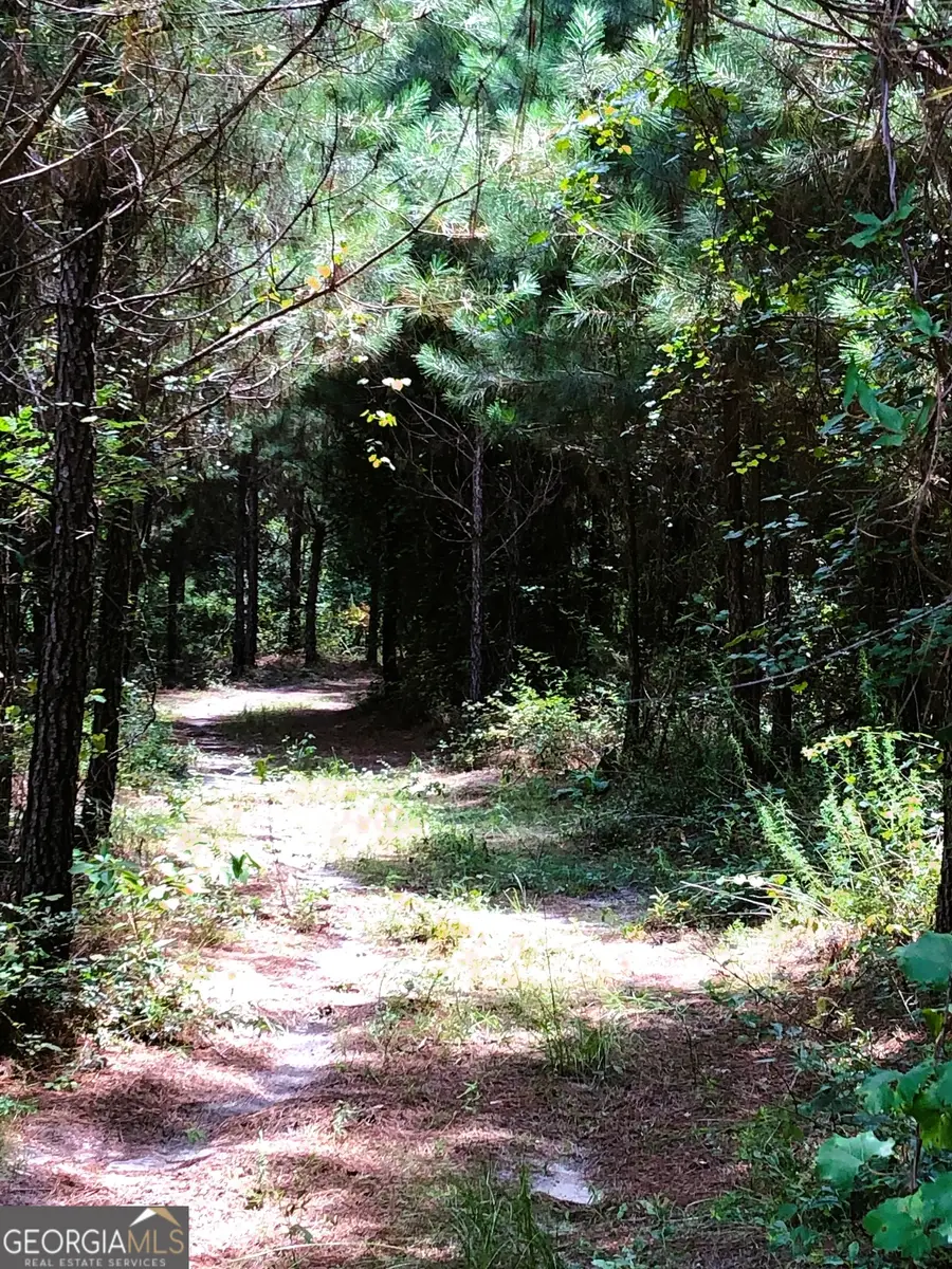 0 Raymond Wilkes Road, Rockledge, GA 30454 - Image #2