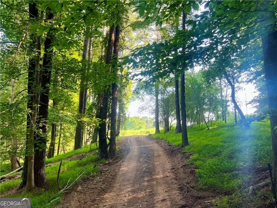 47 AC Jesse Martin Trail, Canton, GA 30115 - Image #2