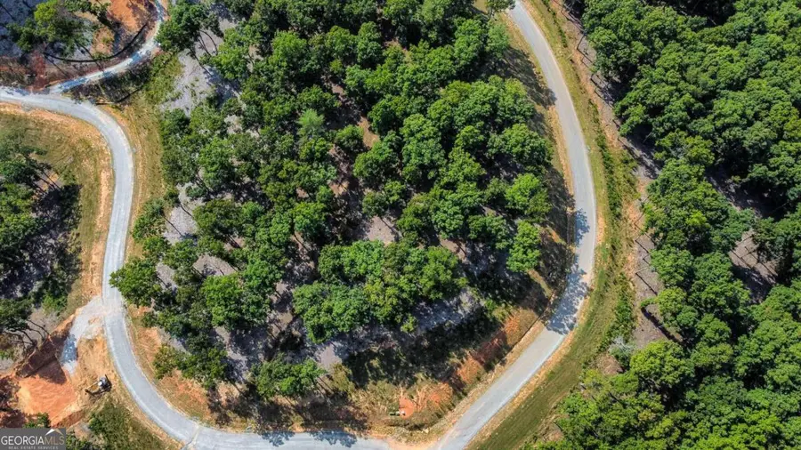 LOT 84 Ridge Drive, Morganton, GA 30560 - Image #3