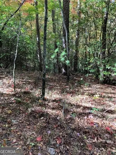 0 Prospector Place, Sautee Nacoochee, GA 30571 - Image #2