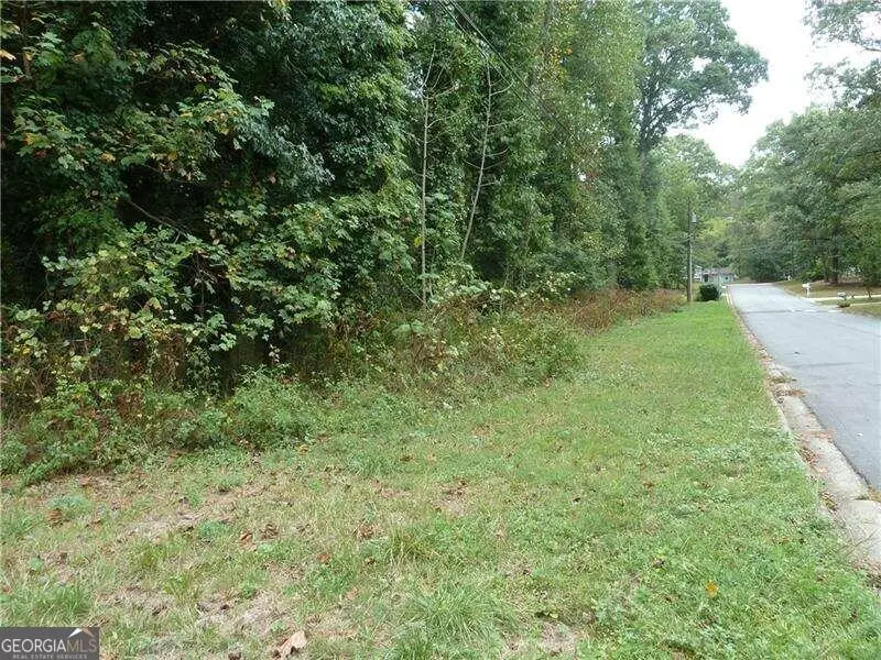 1369 Branchwood Drive, Snellville, GA 30078 - #3