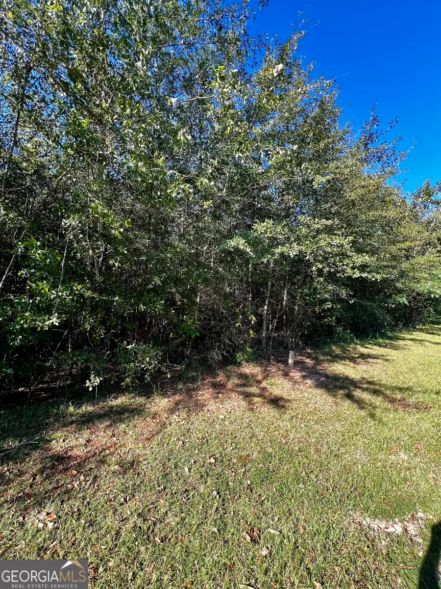 00 Brookhaven Drive, Dublin, GA 31021 - Image #2