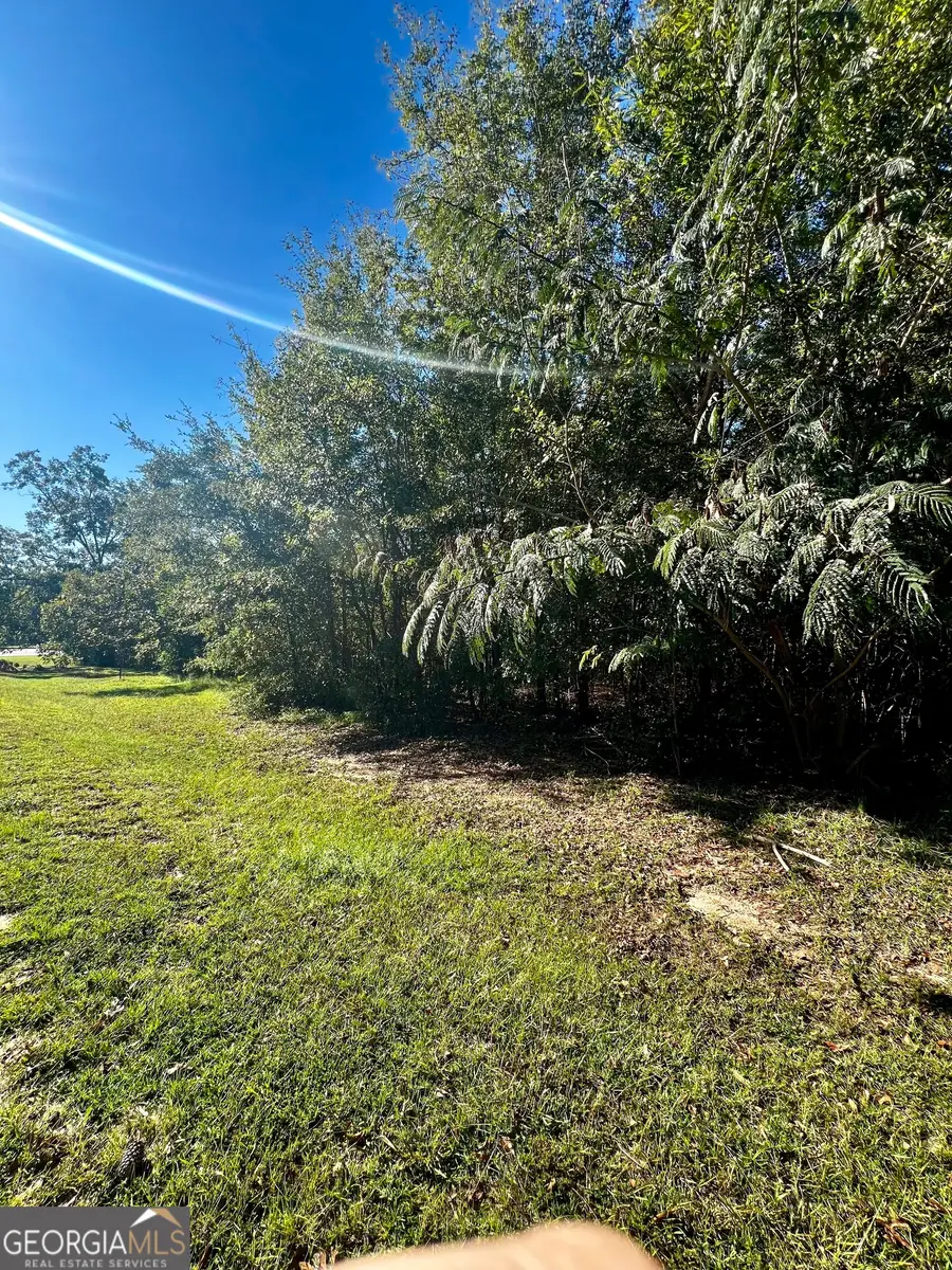 00 Brookhaven Drive, Dublin, GA 31021 - Image #3