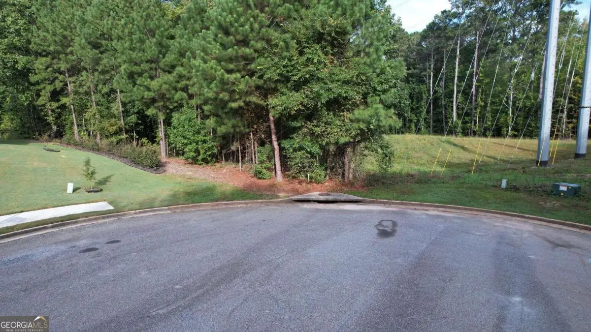 3045 Wood Valley Court, Loganville, GA 30052 - Image #1