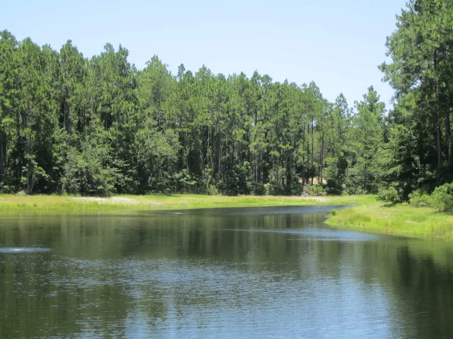 V/L 81, 306 Cumberland Harbour Boulevard, Saint Marys, GA 31558 - #2