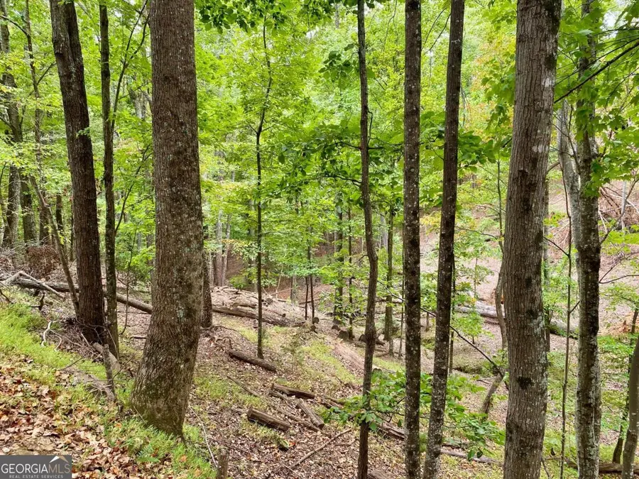 327 Grouse Gap Drive, Jasper, GA 30143 - Image #2